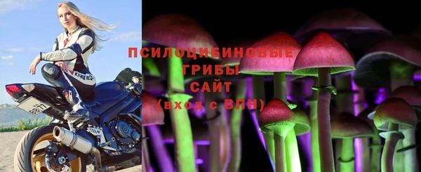 хмурый Алексеевка
