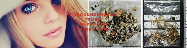 ПСИЛОЦИБИНОВЫЕ ГРИБЫ Абдулино