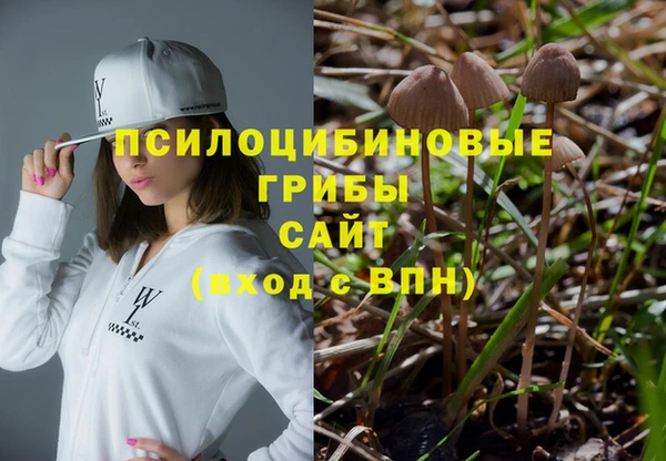 стаф Абинск