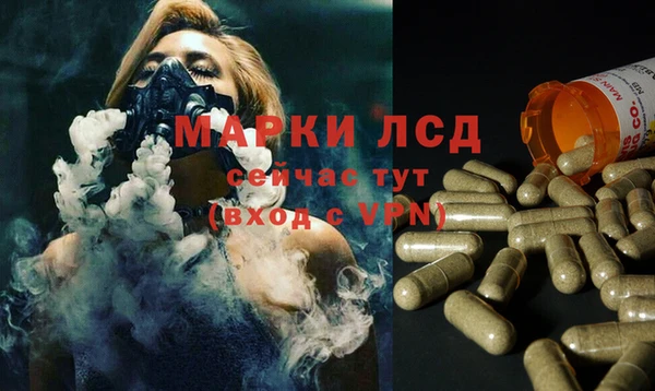 стаф Абинск