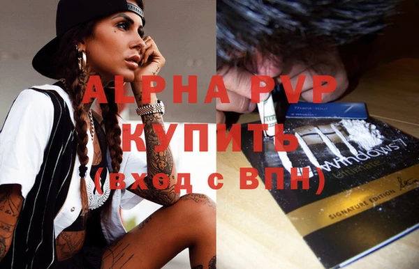 стаф Абинск