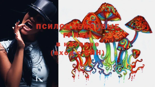 сатива Алексин