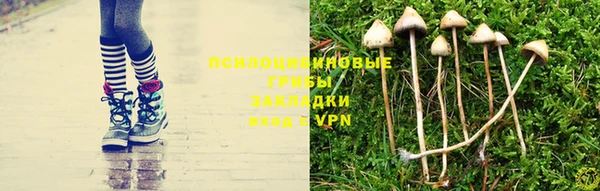 стаф Абинск