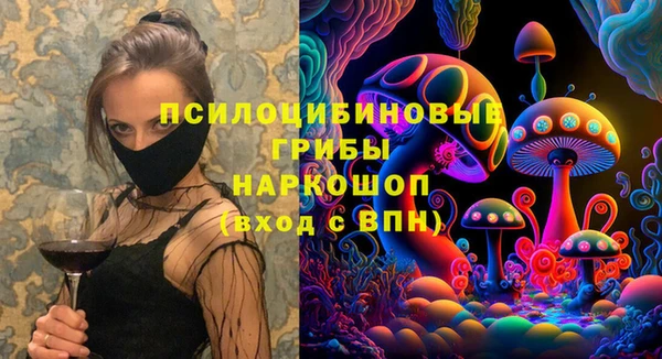 прущие крисы Абаза